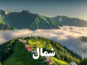 شمال - سرچی